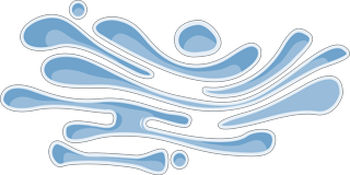 The Golgi apparatus — the packaging plant of every eukaryotic cell, discovered inside his own reticular-apparatus observations in 1898 (Smart-Servier, CC BY-SA 3.0).