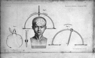 A phrenological head, early 19th century: wrong map, right question — learning is located in the brain. Wellcome Collection (Public Domain Mark).