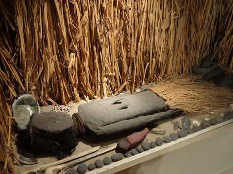 A Chinchorro mummy — desert-dried and deliberately preserved on the coast of what is now Chile, perhaps 2,000 years before Egypt mummified anyone (San Diego Museum of Man exhibit, Daderot, CC0).