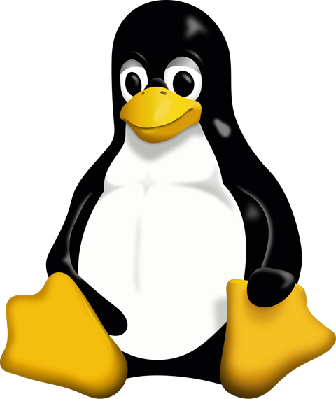 Tux, the Linux mascot, drawn by Larry Ewing in 1996. The penguin has been waiting a quarter-century for its year.
